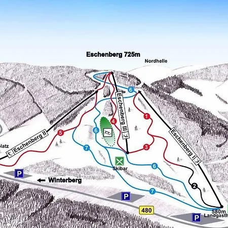 Gemuetlicher In Niedersfeld Bei Winterberg, Kostenloses Wlan Lejlighed Winterberg