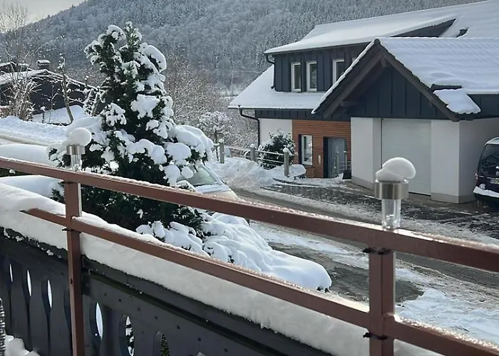 Gemütlicher In Niedersfeld Bei Winterberg, Kostenloses Wlan Apartment *